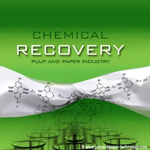 Chemical Recovery in Pulp and Paper Industry