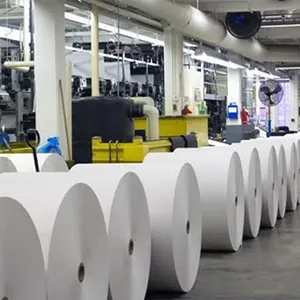Indian Pulp and Paper Industry