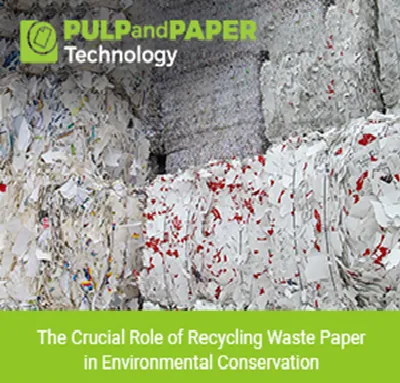 The Crucial Role of Recycling Waste Paper in Environmental Conservation