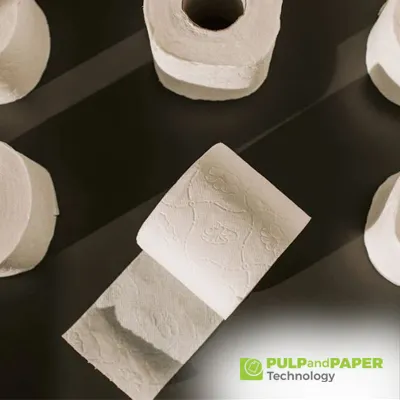 Paper-Based Hygiene Products