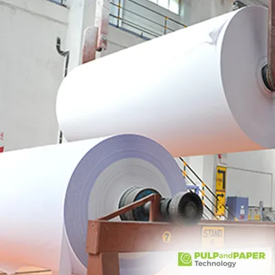 Unraveling Innovations: Special Paper and Pulp in the Pulp and Paper Industry