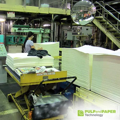 Ultimate Guide to Papermaking in the Pulp and Paper Industry: Techniques, Processes, and Sustainability