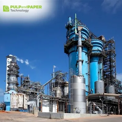 How Does Power and Energy Drive Operations in the Pulp and Paper Industry?
