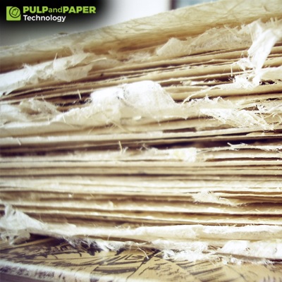 Innovative Fiber Sourcing: Exploring Alternatives for Sustainable Paper Production