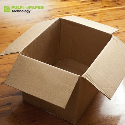 Challenges and Opportunities in the Paperboard Packaging Market