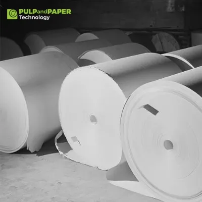 Advances in Bleaching Technologies for Pulp