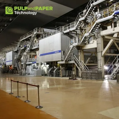 Biotechnology Applications in the Pulp and Paper Industry