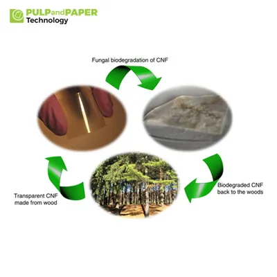 Nanocellulose: The Next Frontier in Pulp and Paper Technology