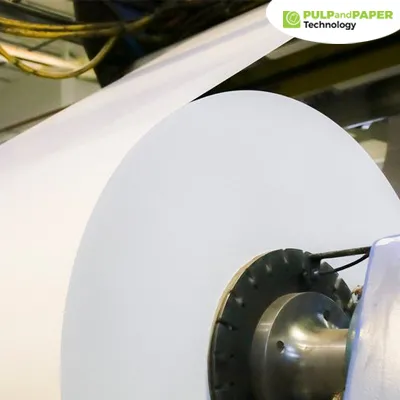 Sustainable Solutions in Pulp and Paper: How Technology is Reducing Environmental Impact