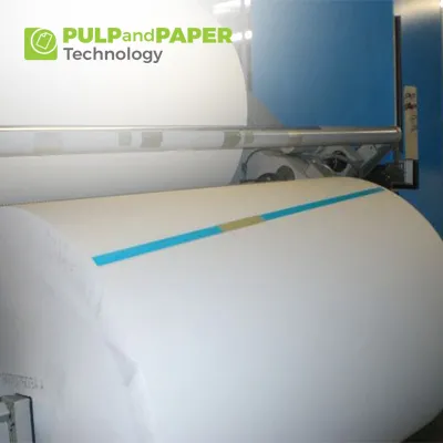 Future-Proofing the Paper Industry: Embracing Innovation for Sustainable Growth