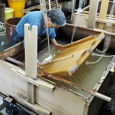 Advantages and Disadvantages of Chemical Pulping in Paper Manufacturing