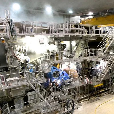 Pulp And Paper Industry 2030: Where Is The Sector Headed?