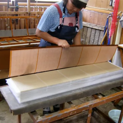 From Waste to Bioenergy: The New Era of Papermaking
