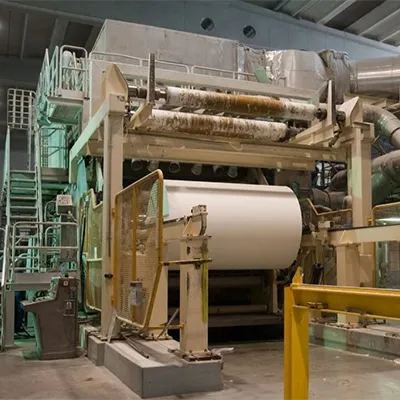 Global Pulp and Paper Market Outlook: Opportunities and Forecasts