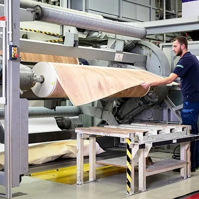 The Paper Industry in a Digital World: Adapting to Survive