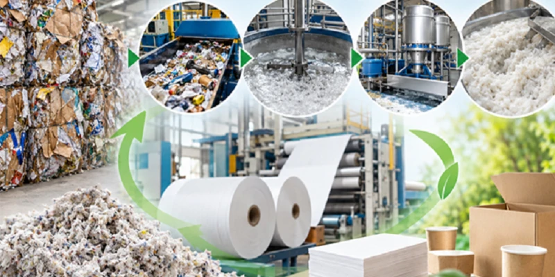 Pulp and Paper Waste Recycling: Technologies, Processes and Resource Recovery