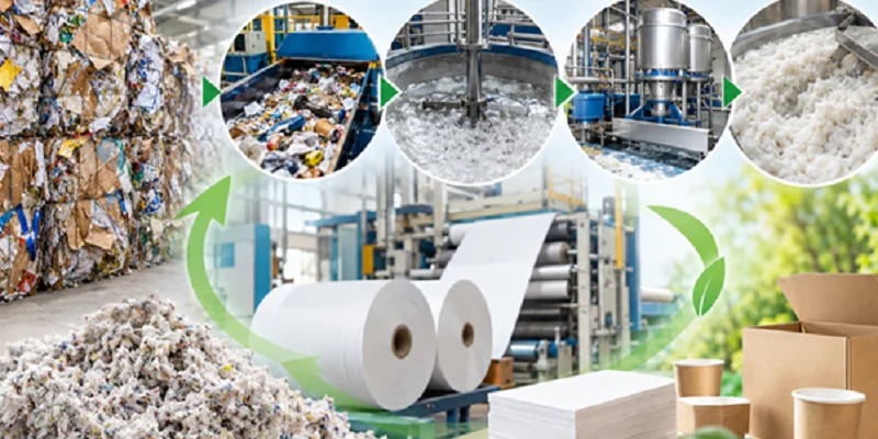 Pulp and Paper Waste Recycling: Technologies, Processes and Resource Recovery