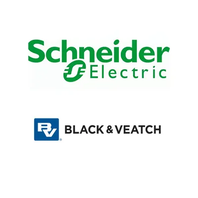 electric'