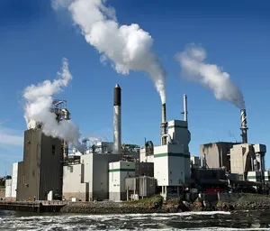 Future of Pulp & Paper Industry
