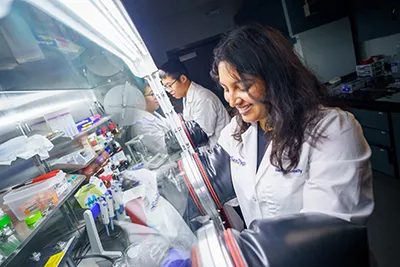 innovation in papermaking processes