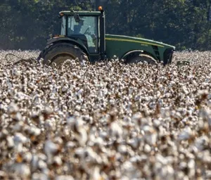 Sustainable Fiber Sourcing