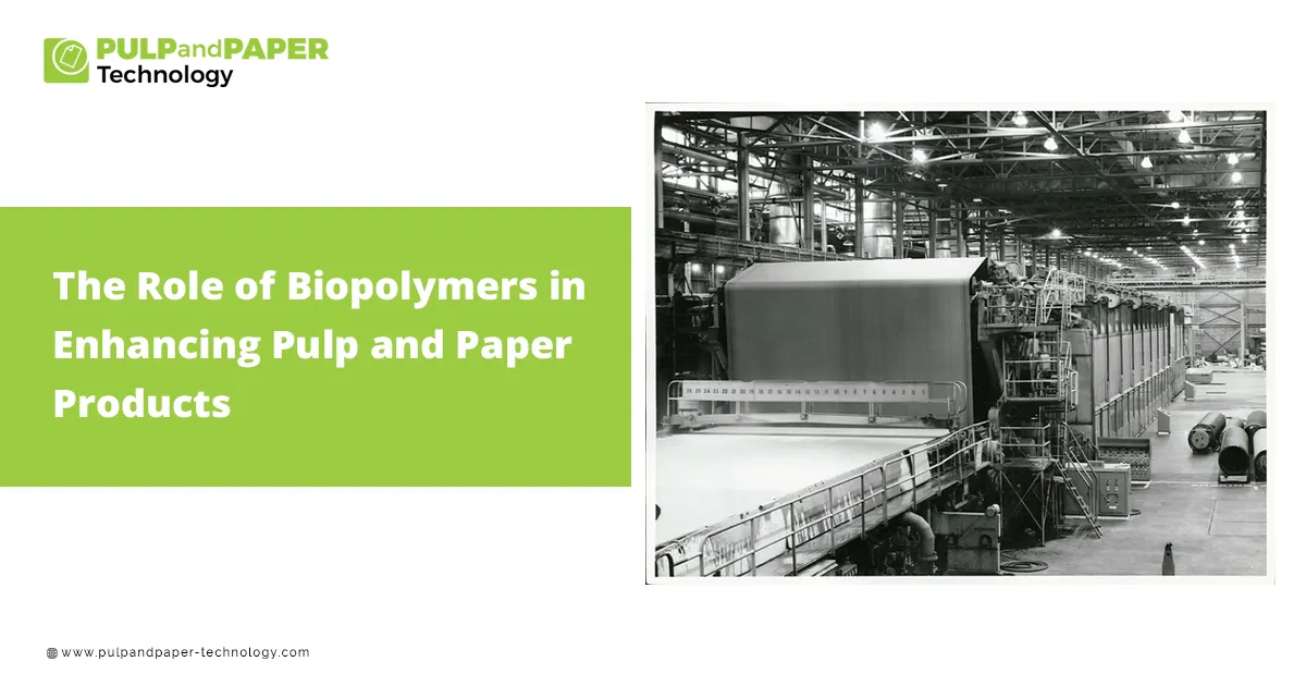The Role of Biopolymers in Enhancing Pulp and Paper Products