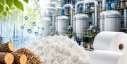 Chemical Pulp Bleaching Technology: Processes, Methods and Environmental Solutions