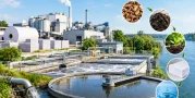 How Paper Mills Manage Waste: Treatment, Recovery and Sustainable Disposal