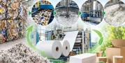Pulp and Paper Waste Recycling: Technologies, Processes and Resource Recovery