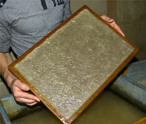 production of pulp and paper
