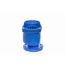Cast iron Flange End Foot Valve