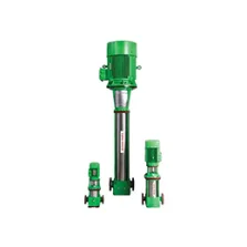 VERTICAL HIGH PRESSURE PUMP (AHPV)