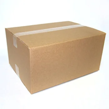 Regular Slotted Container (0201)