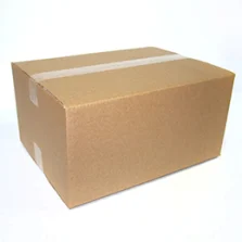 Regular Slotted Container (0201)