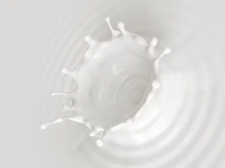 Water-Based Adhesives