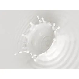 Water-Based Adhesives