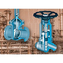 Gate & Globe Valves