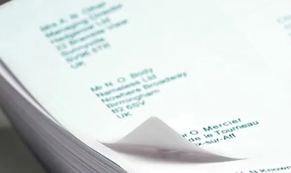 Uncoated facestock label papers