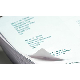 Uncoated facestock label papers