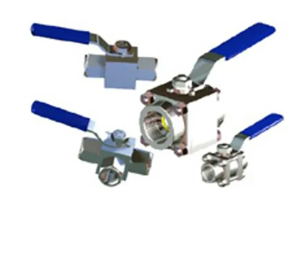 Manifold Valves