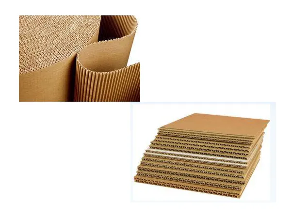 Corrugated Roll & Sheets