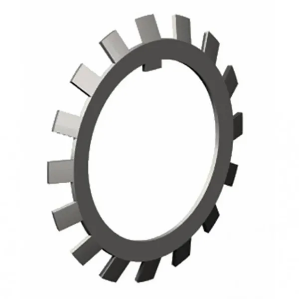 Lock Washer
