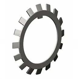 Lock Washer