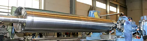 Roll Plant