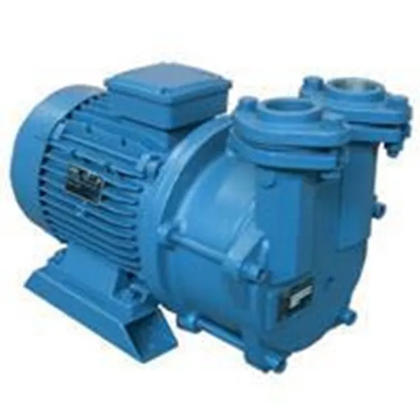 FINDER POMPE INDUSTRIAL, VACUUM - PUMPS, LIQUID RING - SINGLE STAGE - VPM
