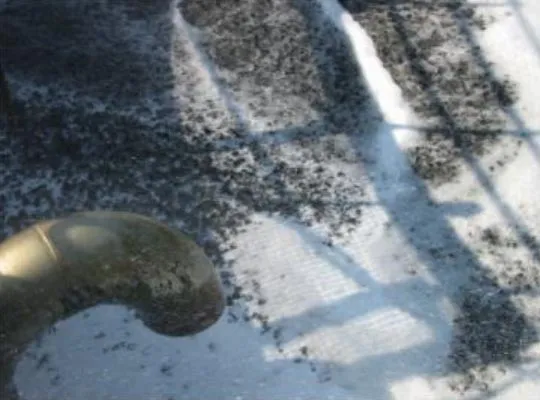 Moving Bed Biofilm Reactor (MBBR)
