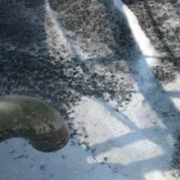 Moving Bed Biofilm Reactor-MBBR