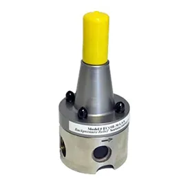 Back Pressure Valve