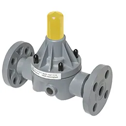 Safety Relief Valve
