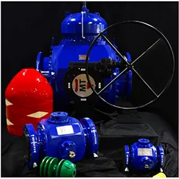 PIGGING VALVES